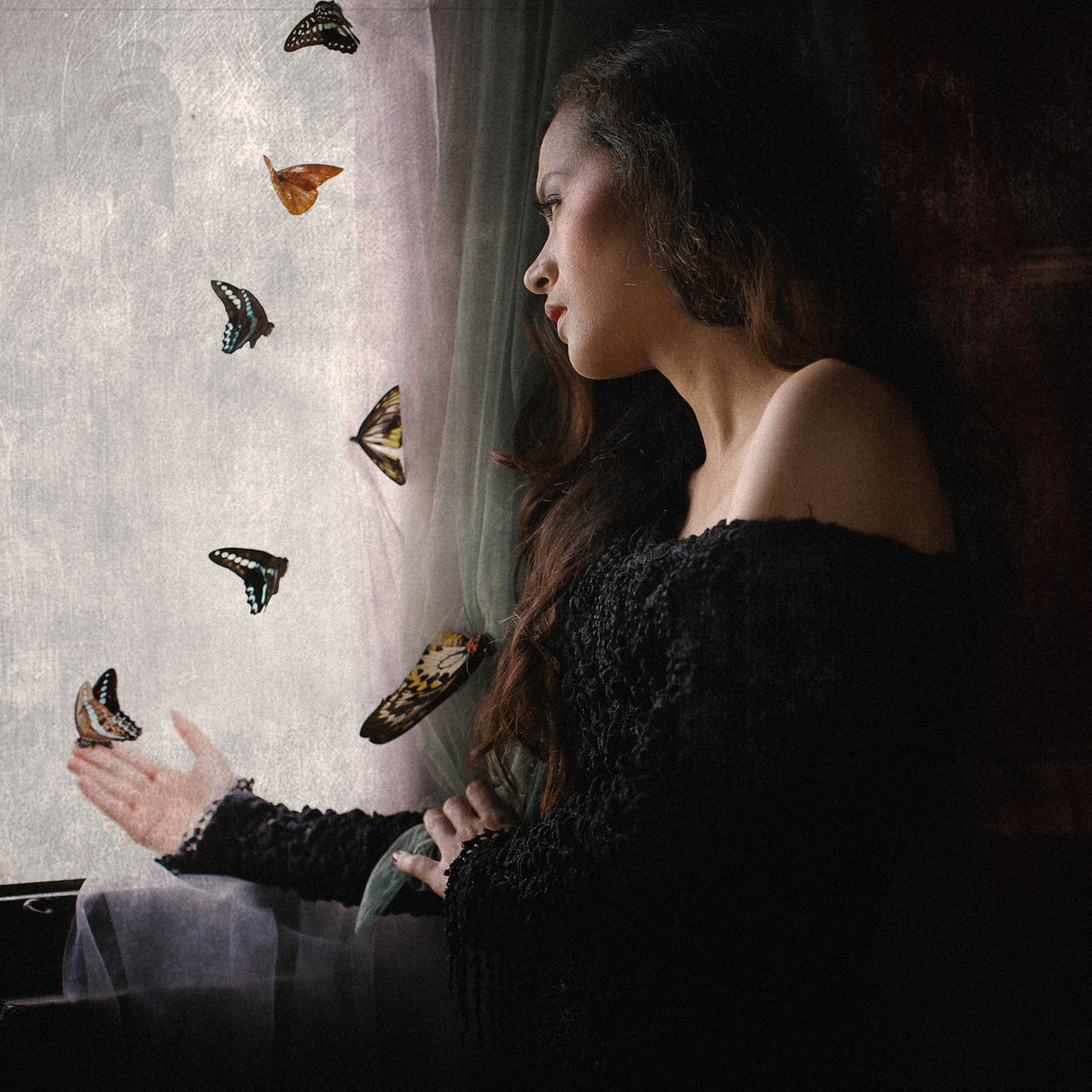 Advice from a butterfly #2 Poster och Canvastavla