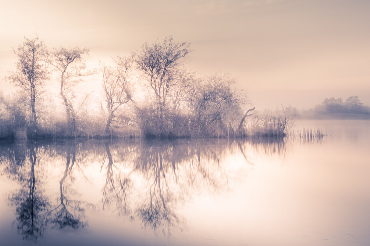 Cold morning at the pond Poster och Canvastavla