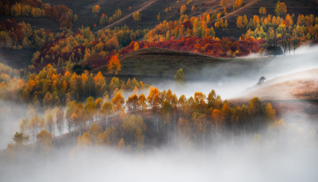Flowing mist Poster och Canvastavla