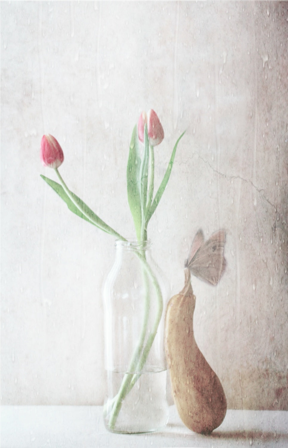 The pitter-patter of the rain Poster och Canvastavla