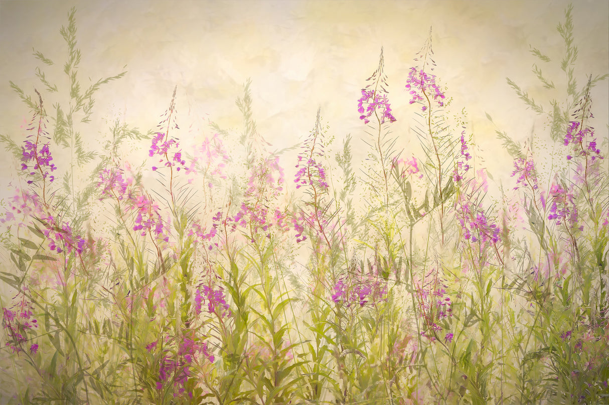 Summerfeeling Poster och Canvastavla