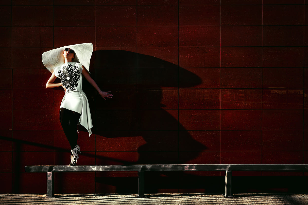 Dancing with Shadow Poster och Canvastavla