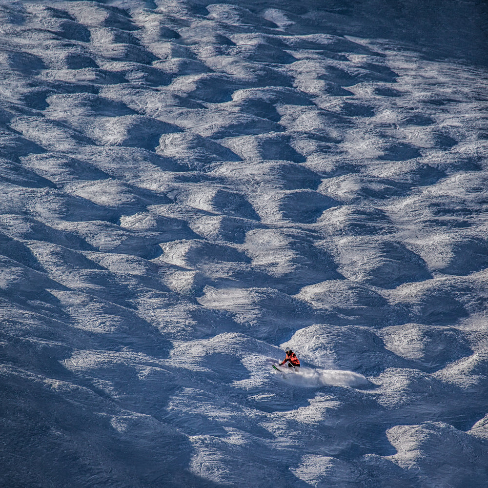 Snow waves skiing Poster och Canvastavla