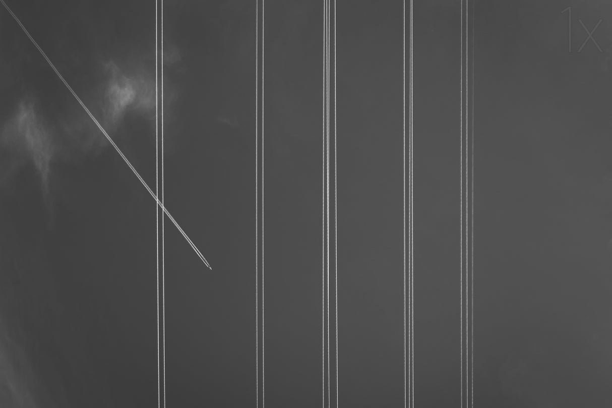 Cross the line Poster och Canvastavla