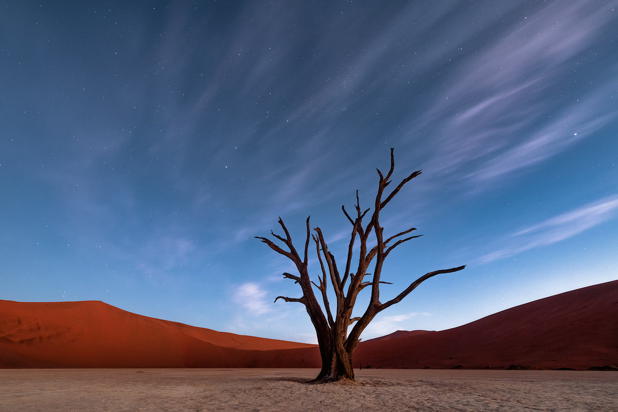 Deadvlei at dusk Poster och Canvastavla