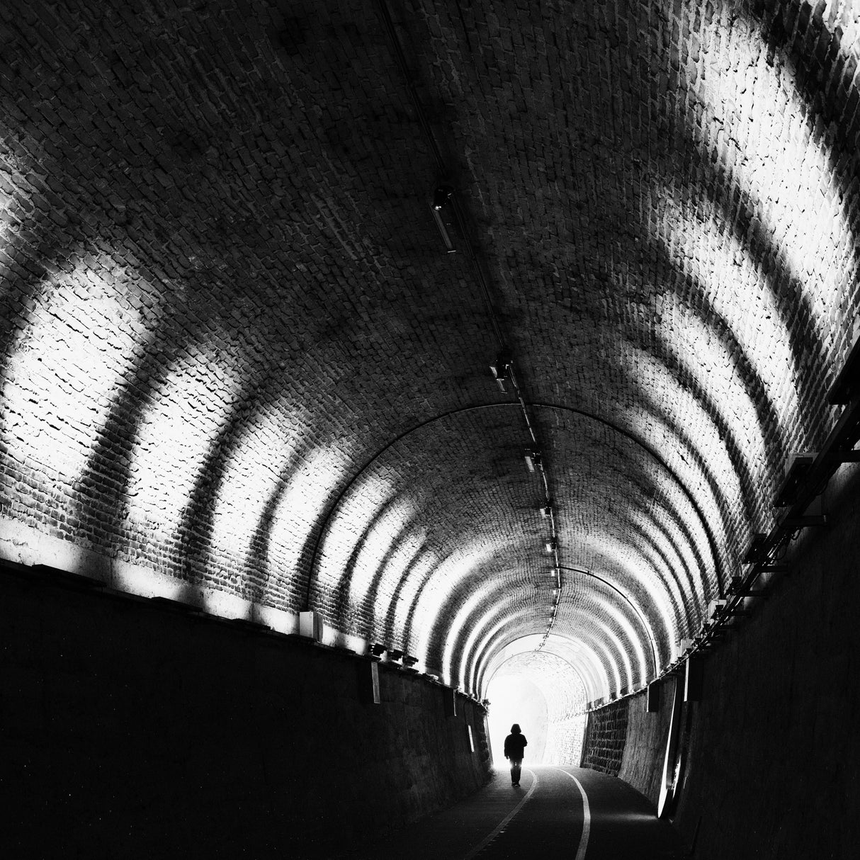 Wings in the Tunnel Poster och Canvastavla