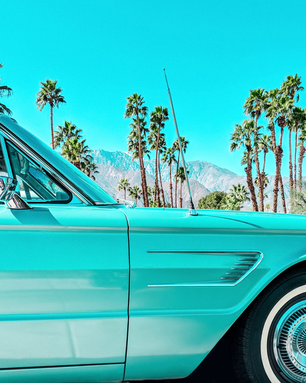 Teal Thunderbird in Palm Springs Poster och Canvastavla