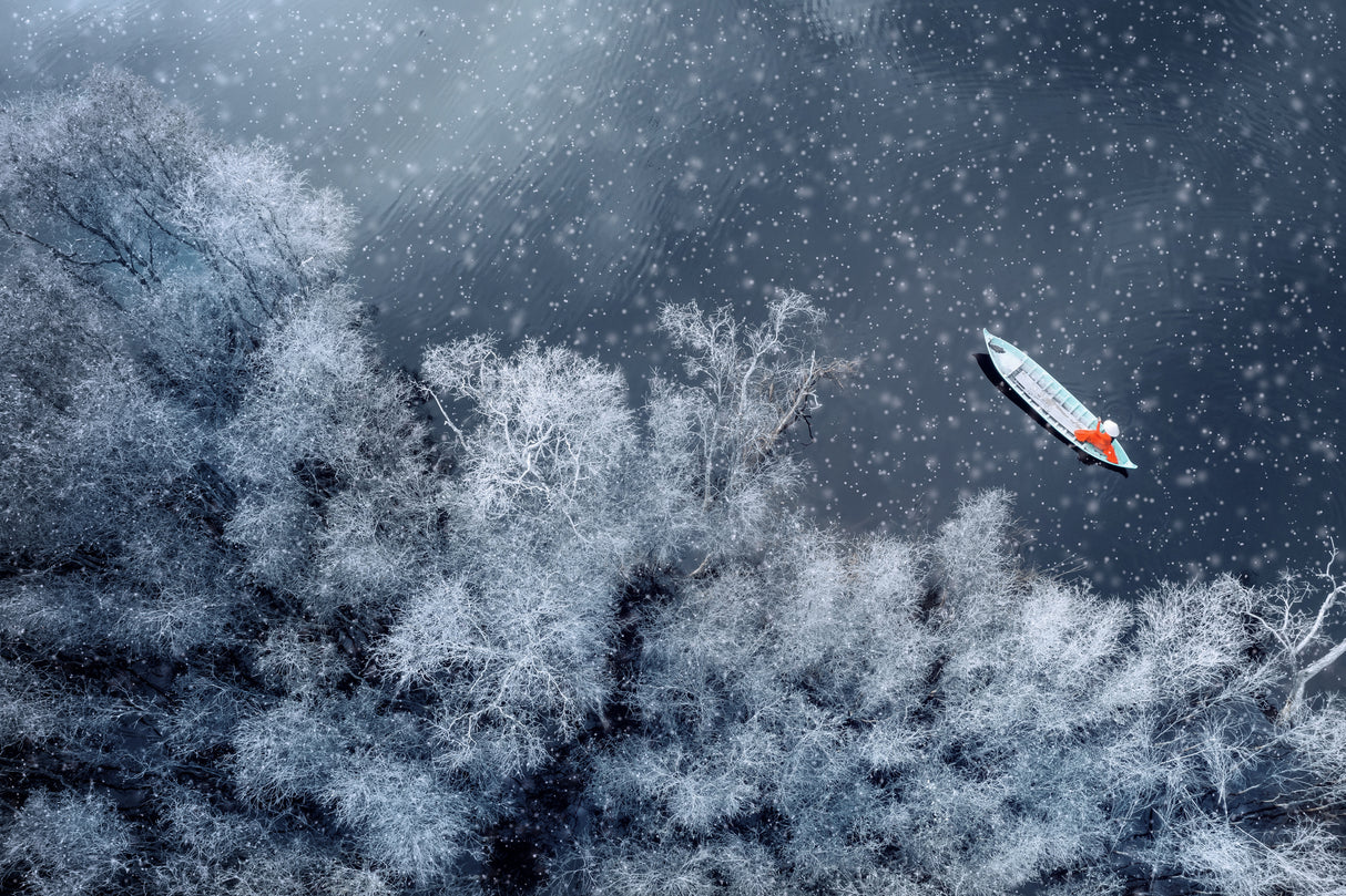 Winter by the Melaleuca forest Poster och Canvastavla