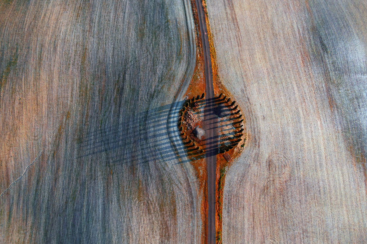 Eye Poster och Canvastavla