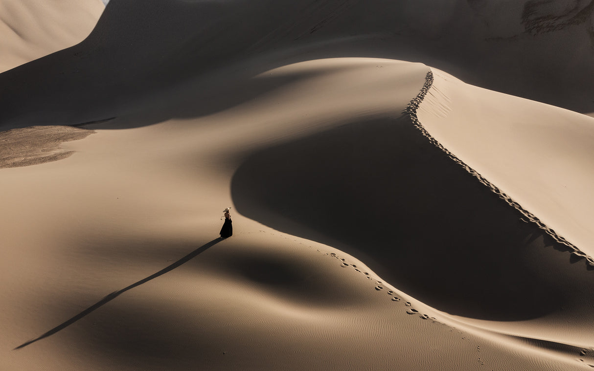 Sand shadow Poster och Canvastavla