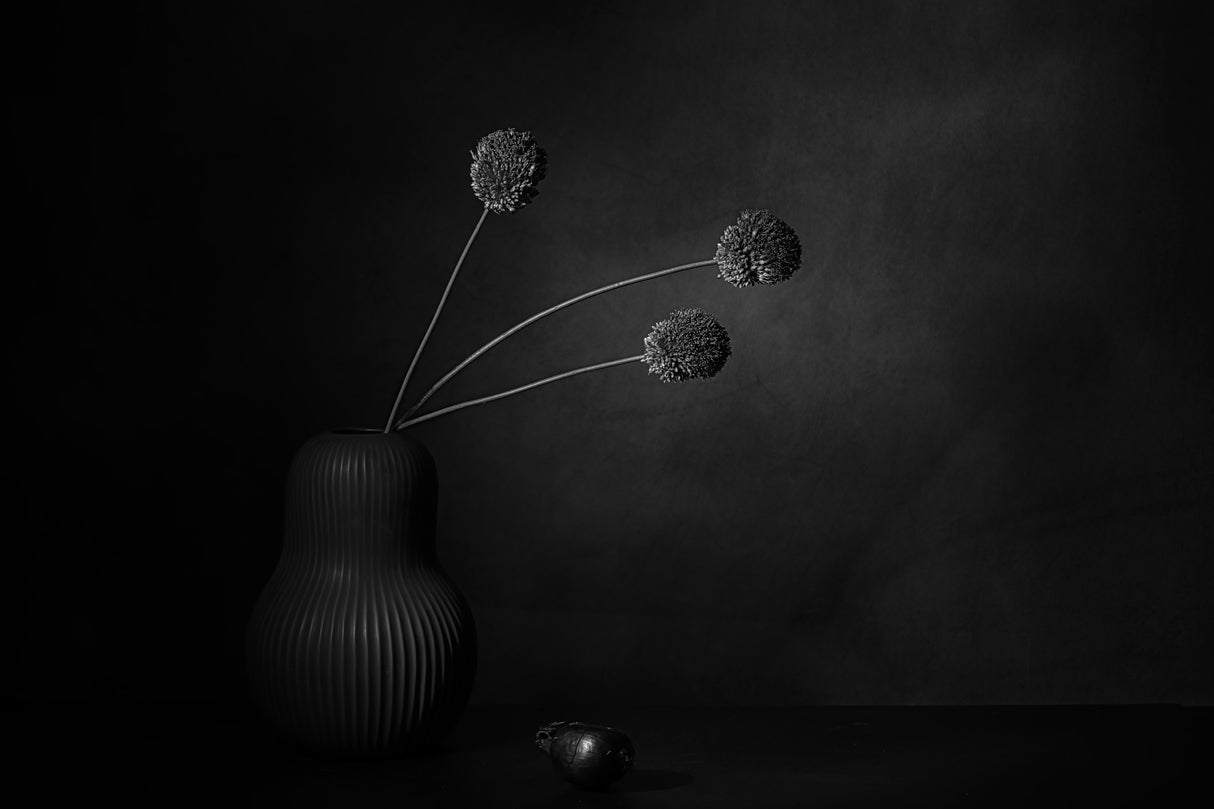 Black velvet. Poster och Canvastavla