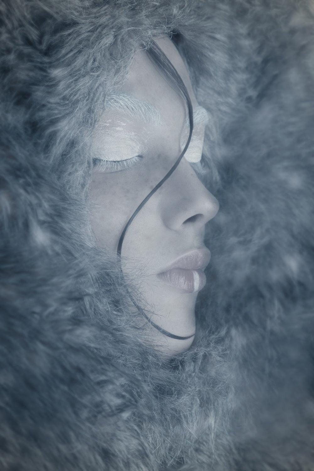 Winter girl Poster och Canvastavla