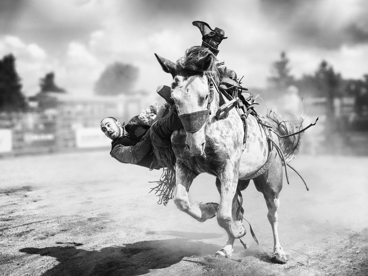 Bucking Horse Poster och Canvastavla