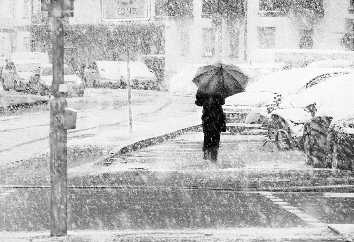 Blizzard in Heidelberg Poster och Canvastavla