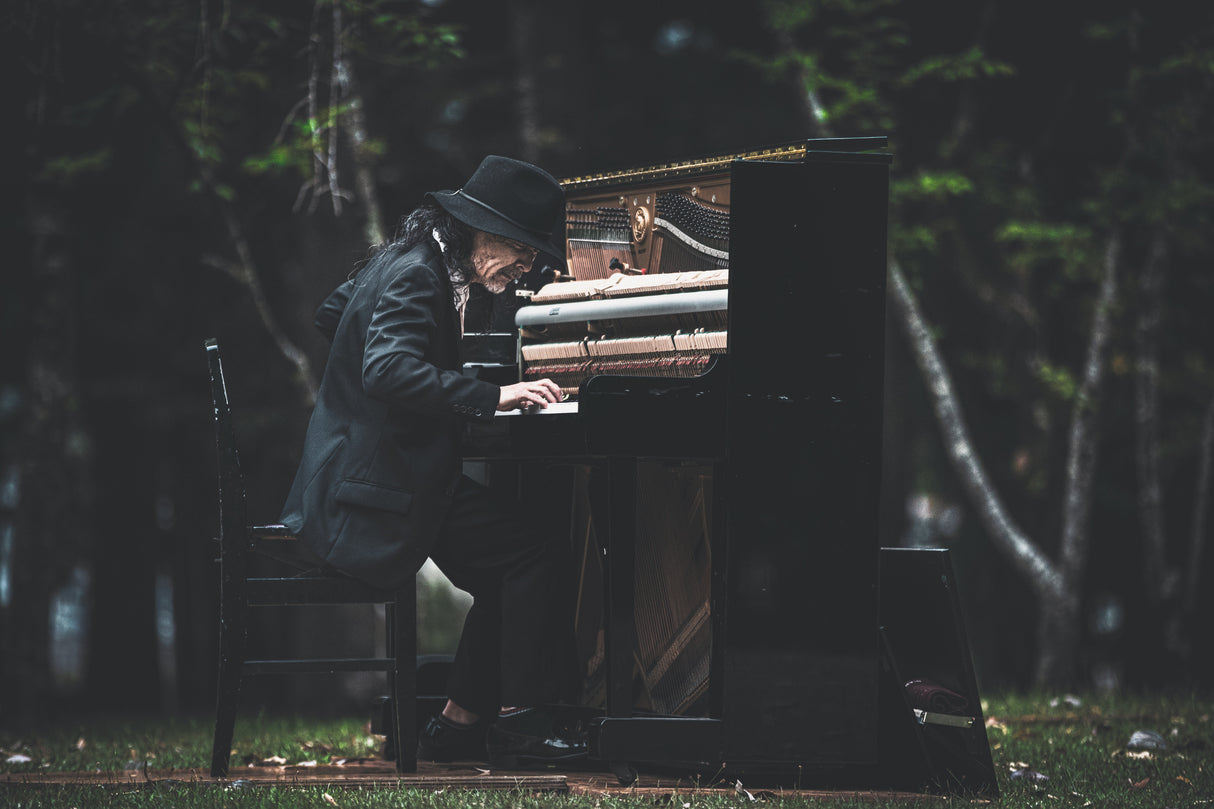 Playing piano in the forest Poster och Canvastavla