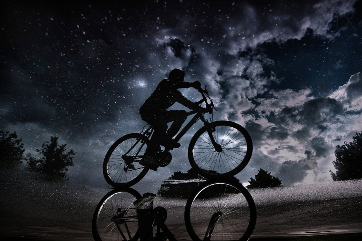 Reflected in the stars... Poster och Canvastavla