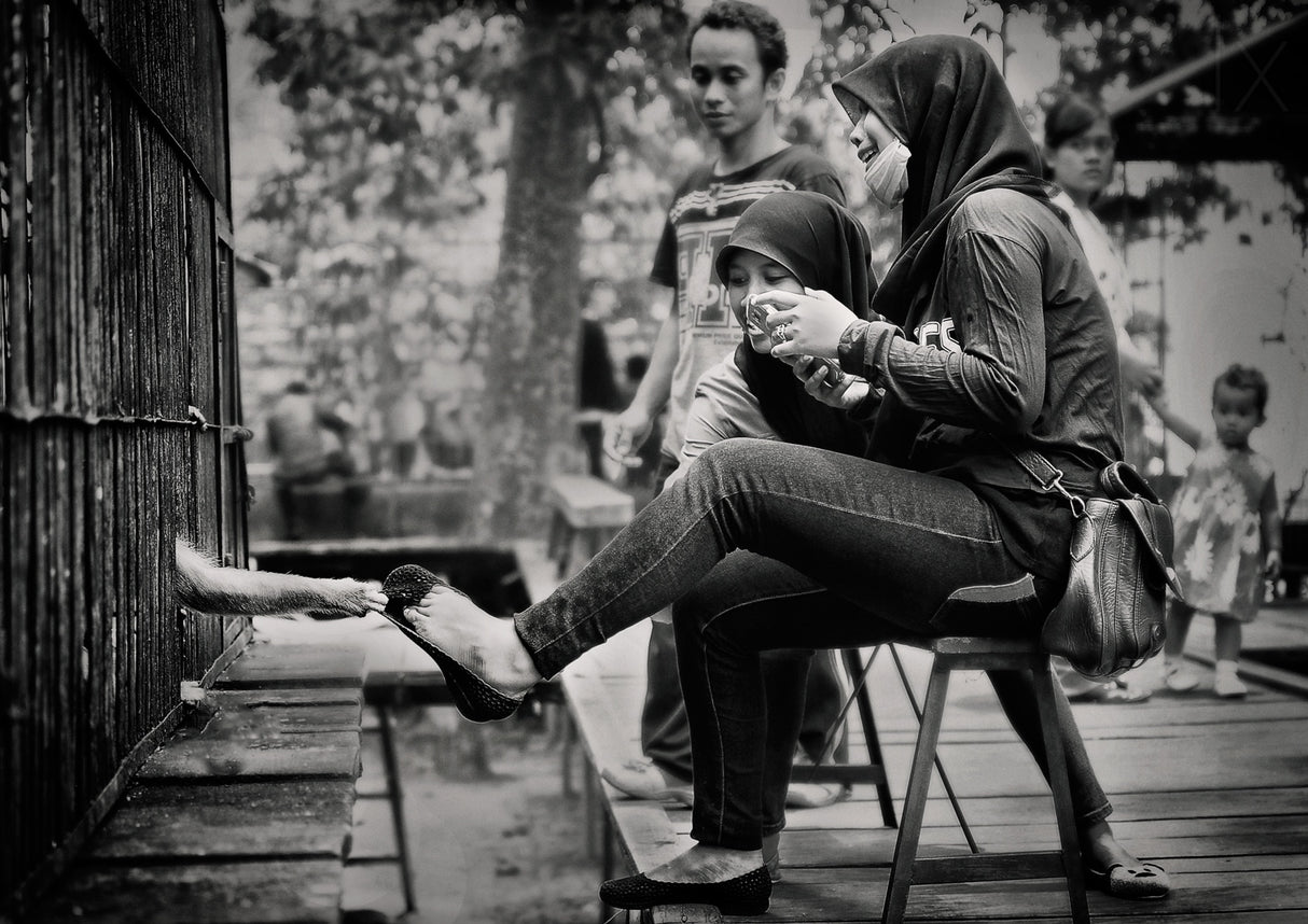 little thief Poster och Canvastavla