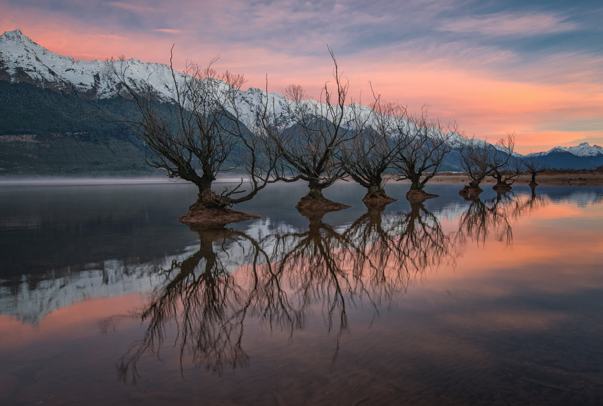 One Calm Pink Sunrise Poster och Canvastavla