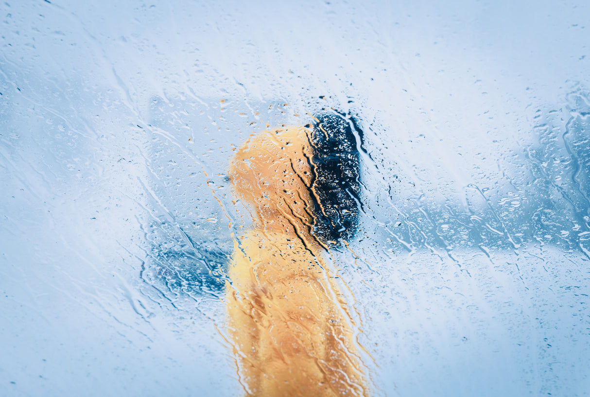 Stuck on the road Poster och Canvastavla