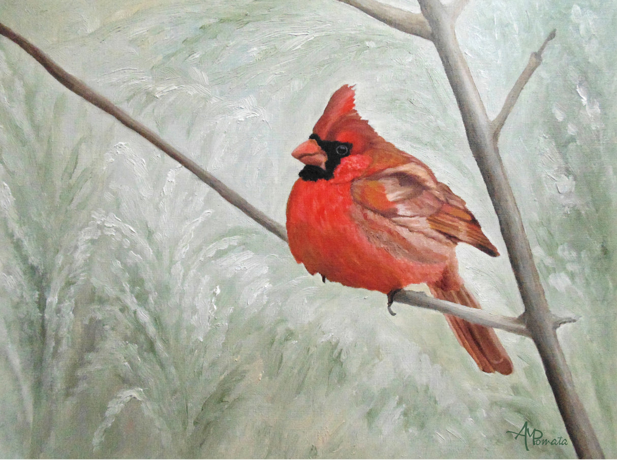 Winter Cardinal Poster och Canvastavla