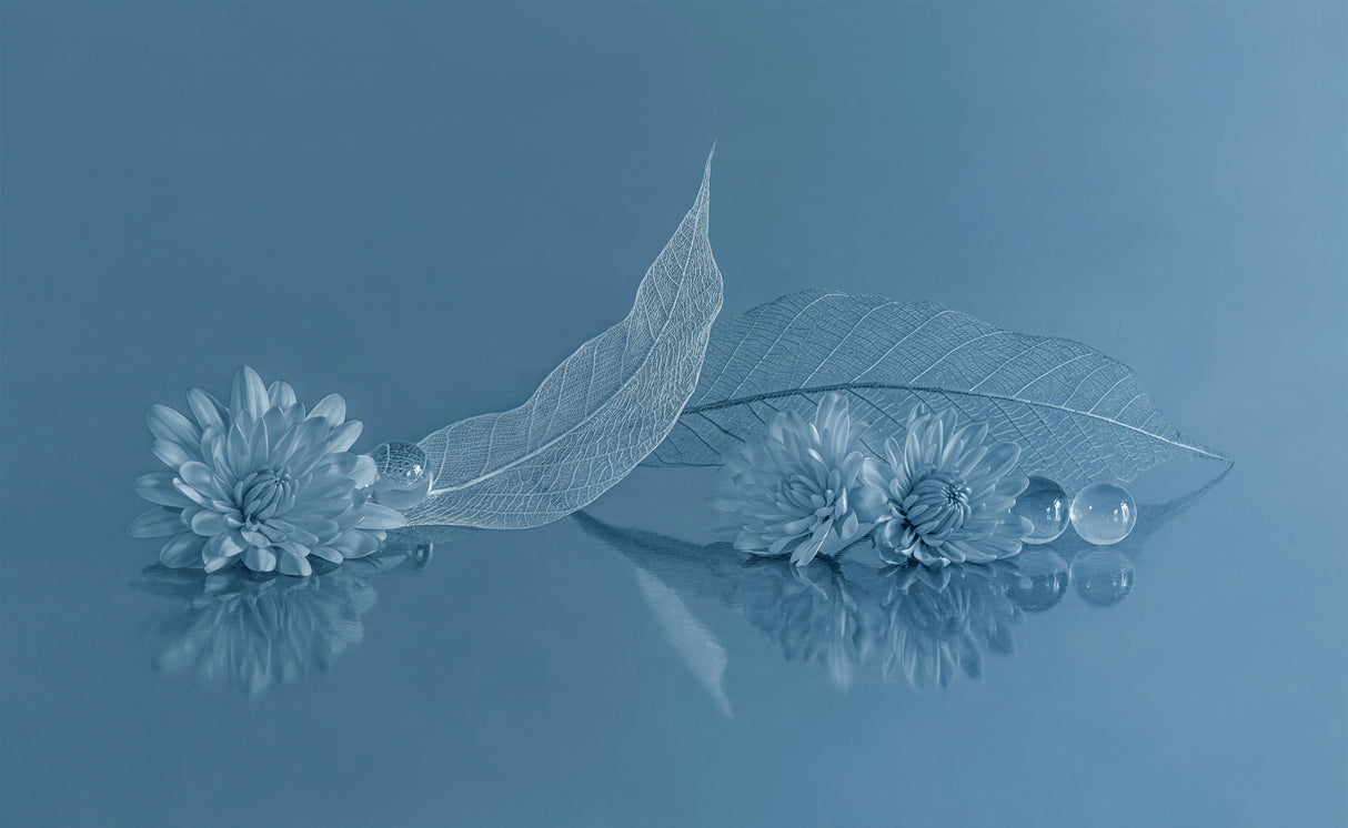 Crystal Clear Poster och Canvastavla