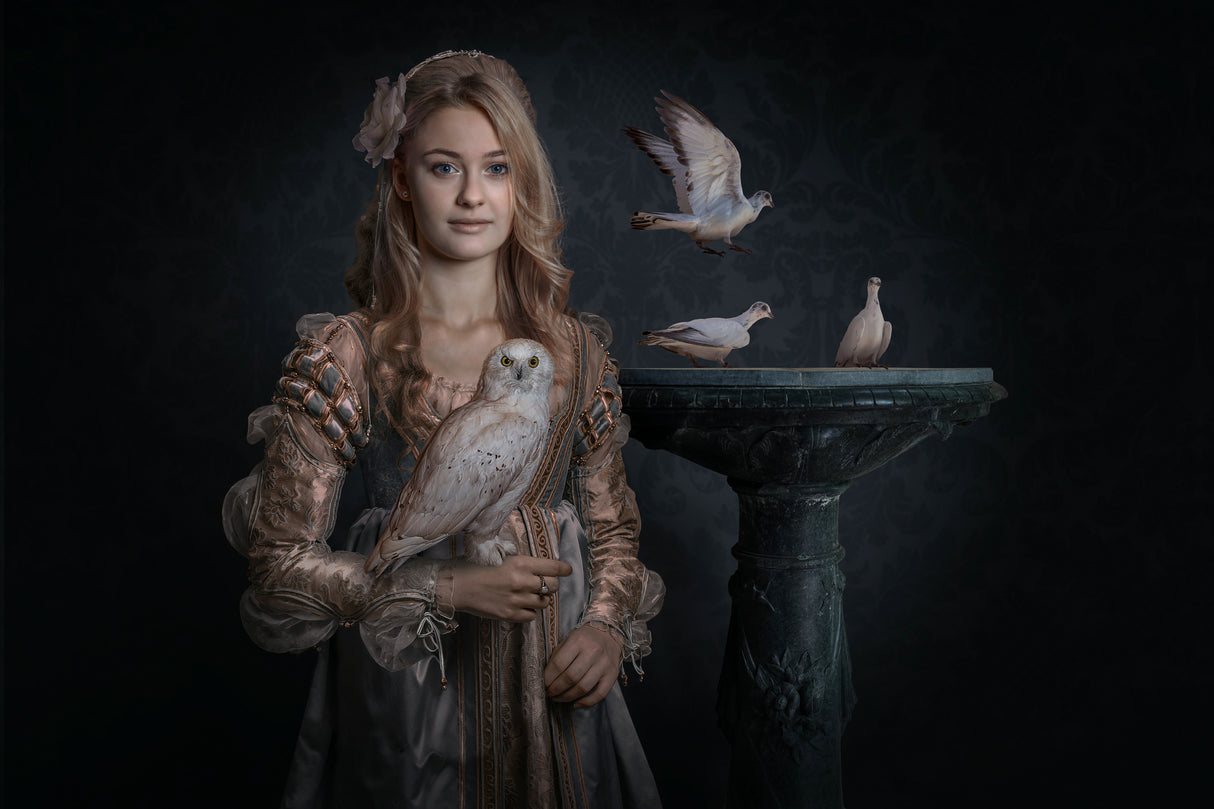 PrincessBirds Poster och Canvastavla