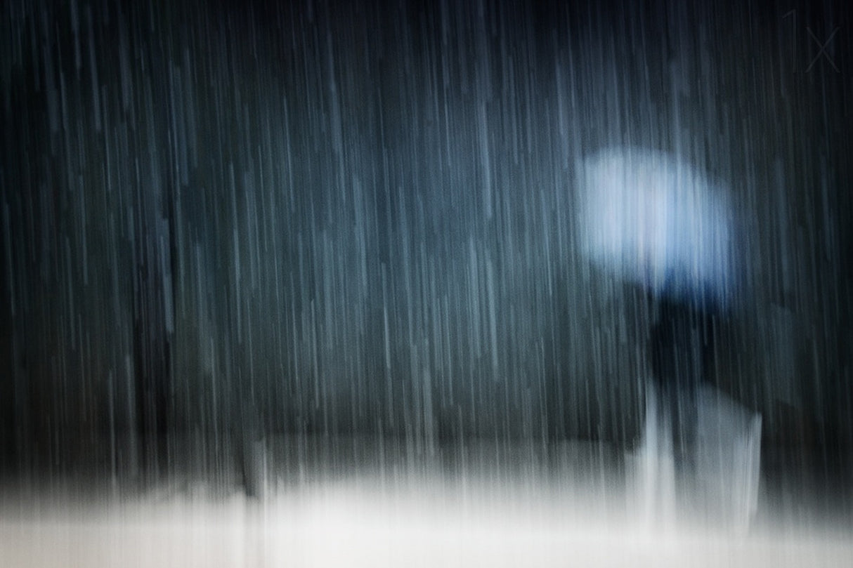 Under a heavy snowfall Poster och Canvastavla