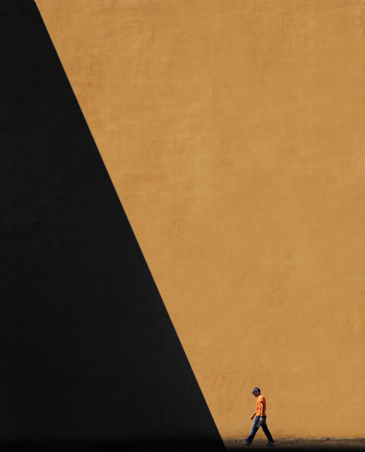 shade Poster och Canvastavla