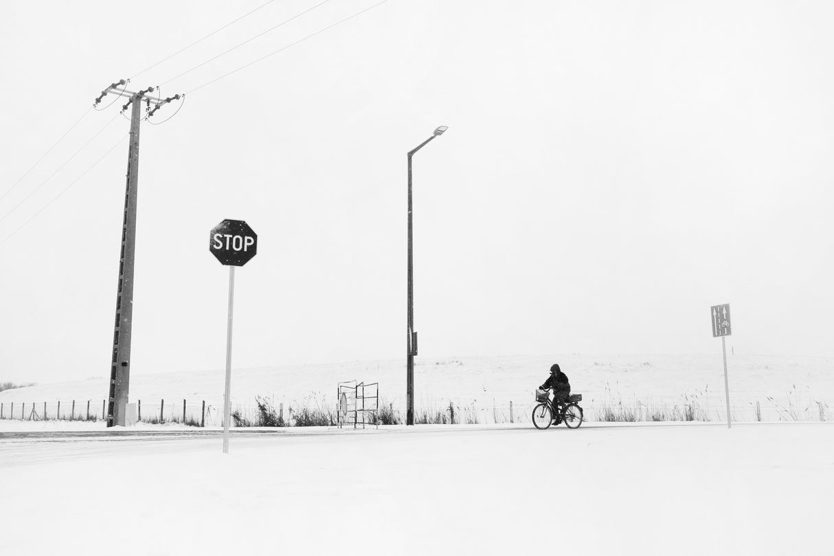 Struggling with the elements Poster och Canvastavla
