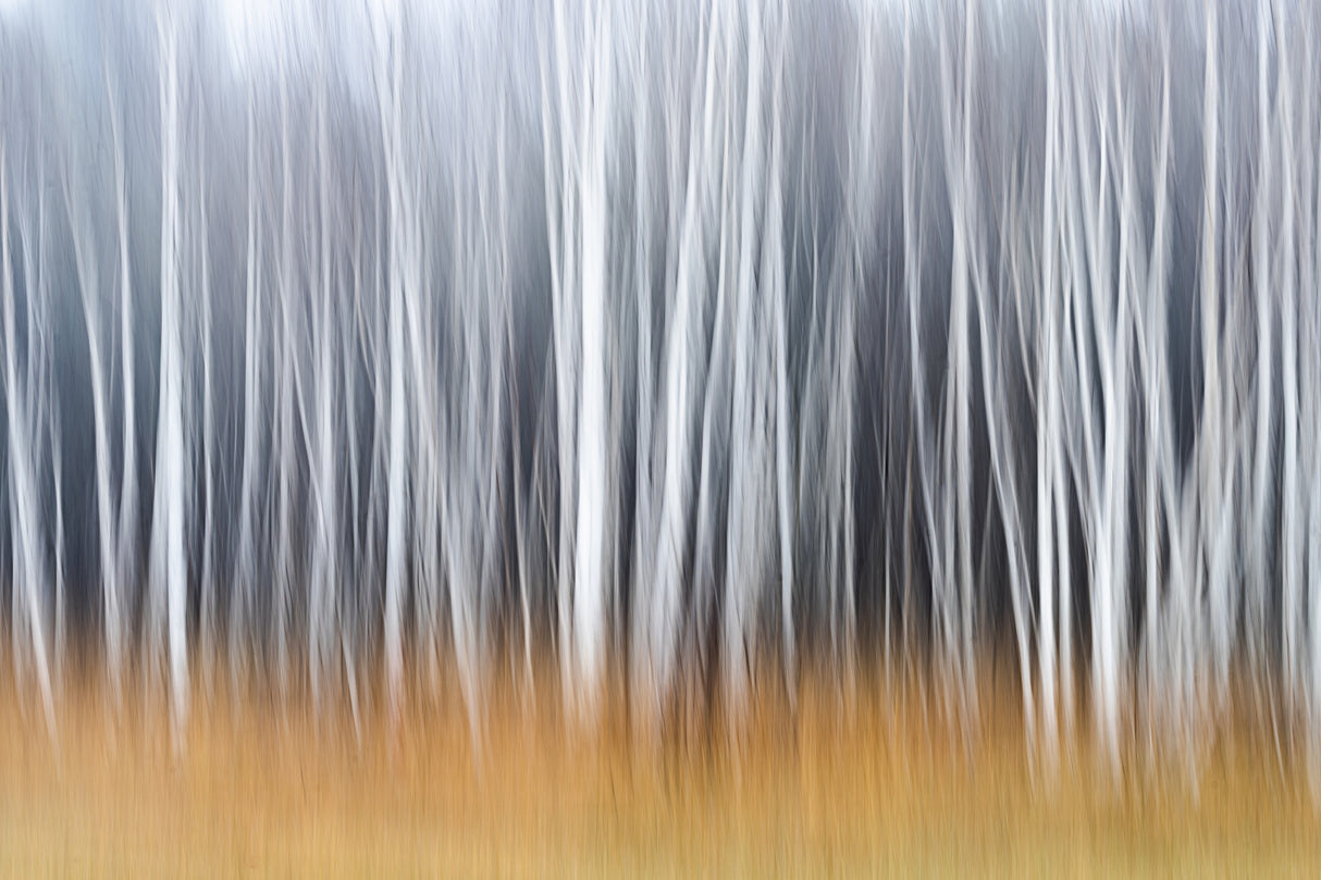 Autumn Mood Poster och Canvastavla