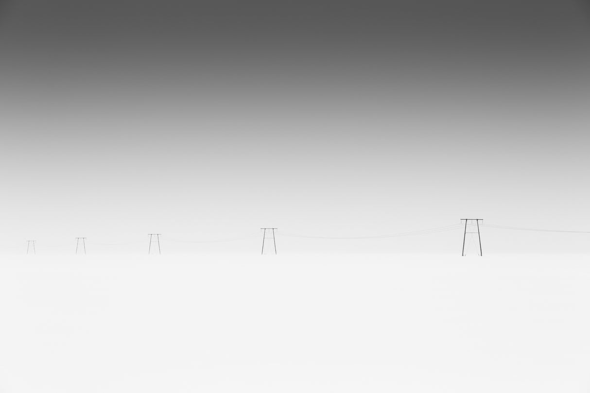 The White World Poster och Canvastavla