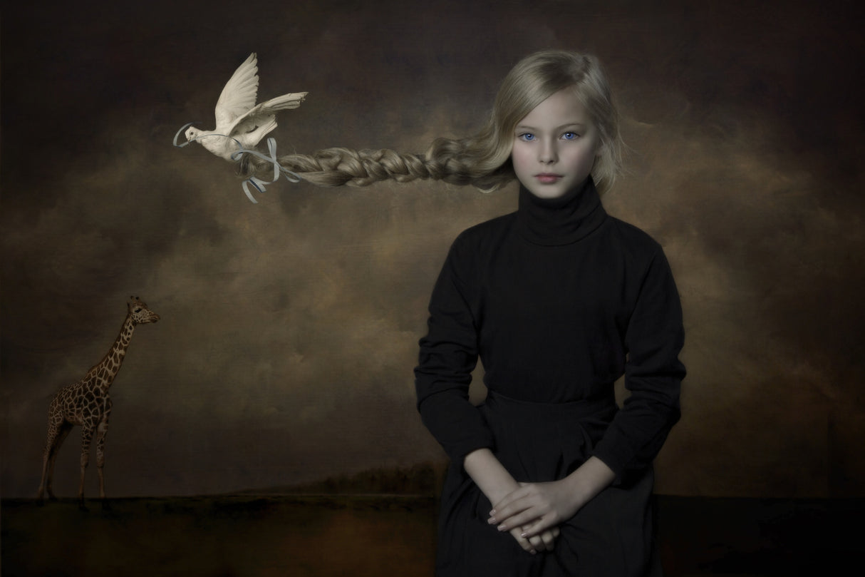 Let it fly Poster och Canvastavla