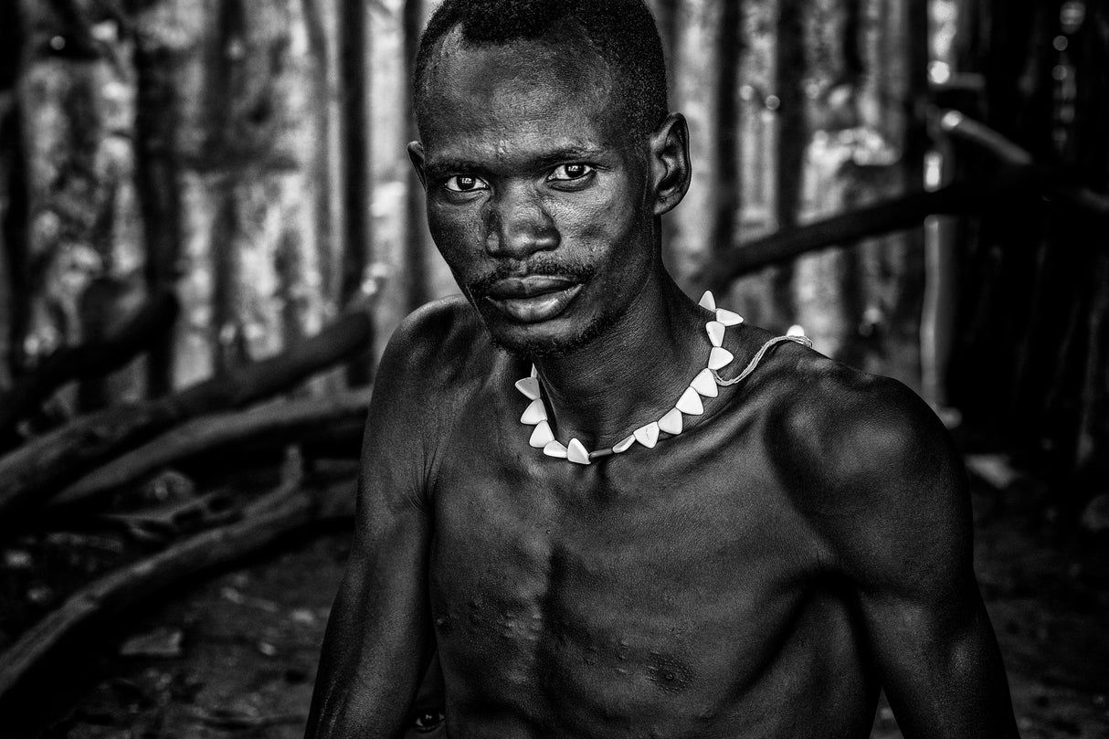 Nyangaton father and son hiding in the back Poster och Canvastavla