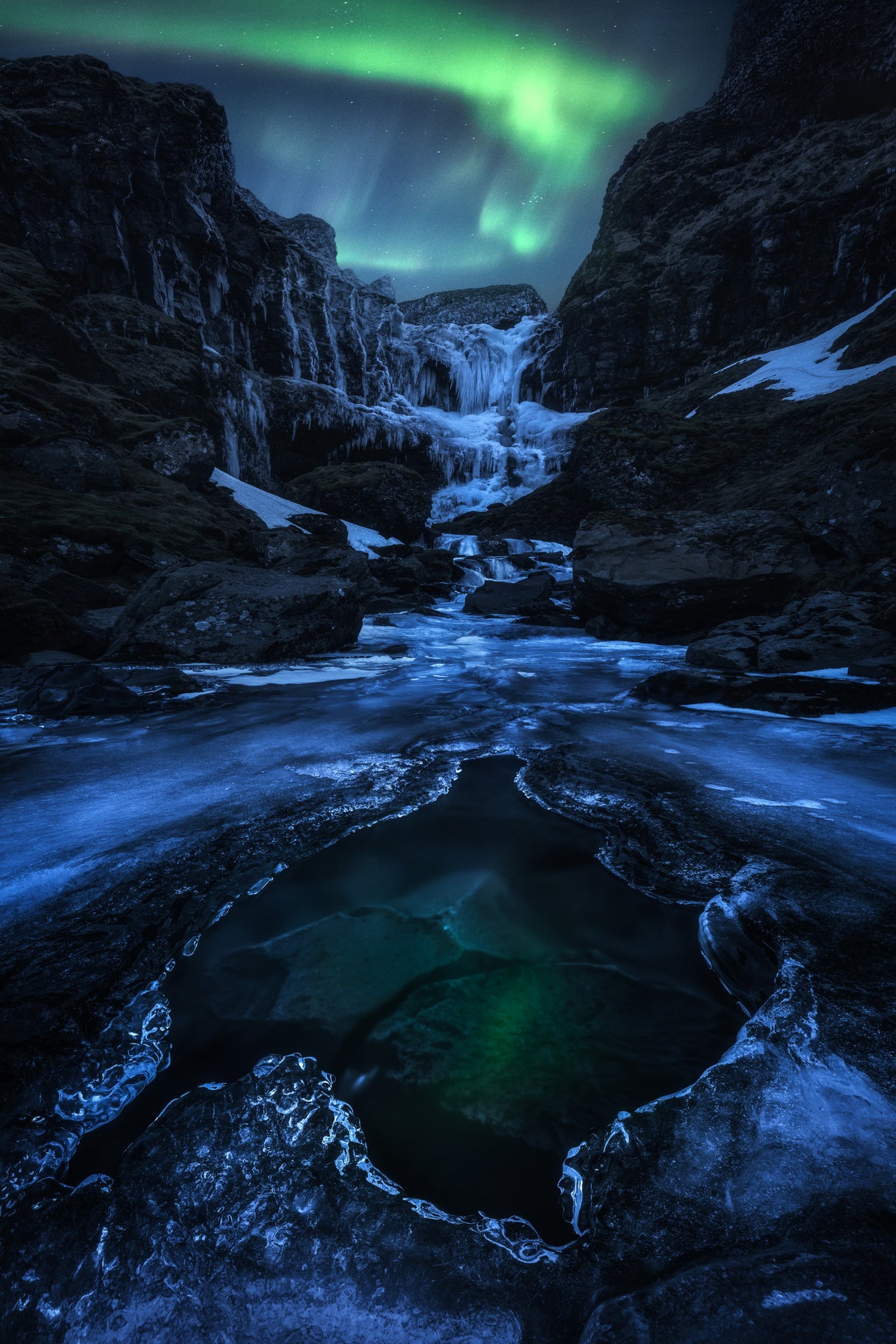 A Frozen Beauty Poster och Canvastavla
