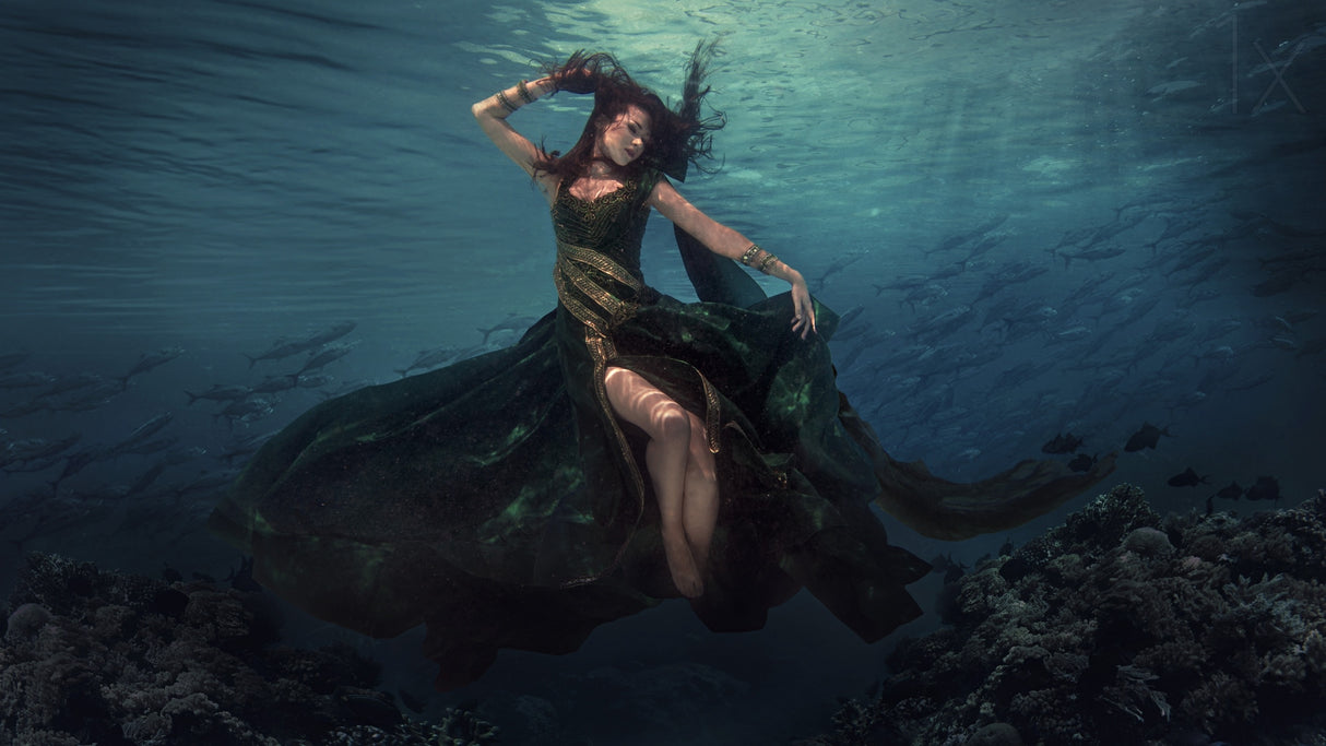 Dancing in the Waves Poster och Canvastavla