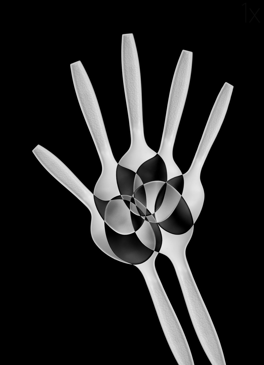 Spoons Abstract: Xray Poster och Canvastavla
