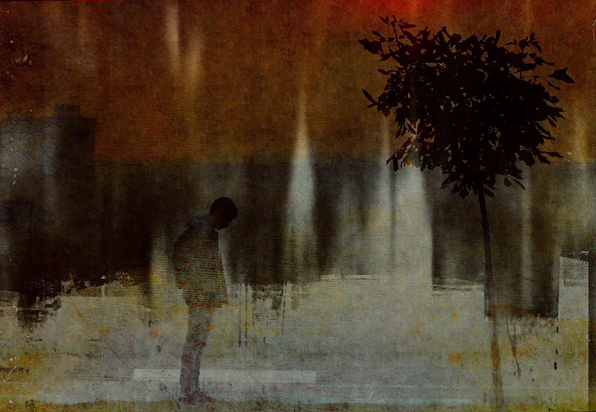 Shadows (one way) Poster och Canvastavla
