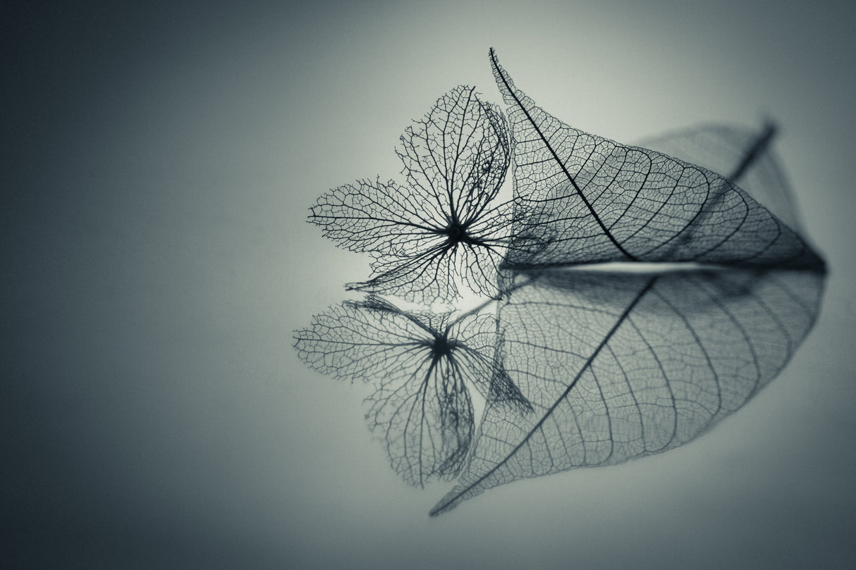 Always Together Poster och Canvastavla