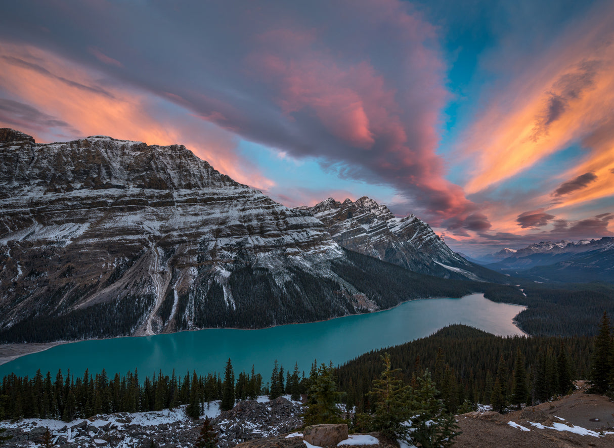 Just before sunrise - Peyto Lake Poster och Canvastavla