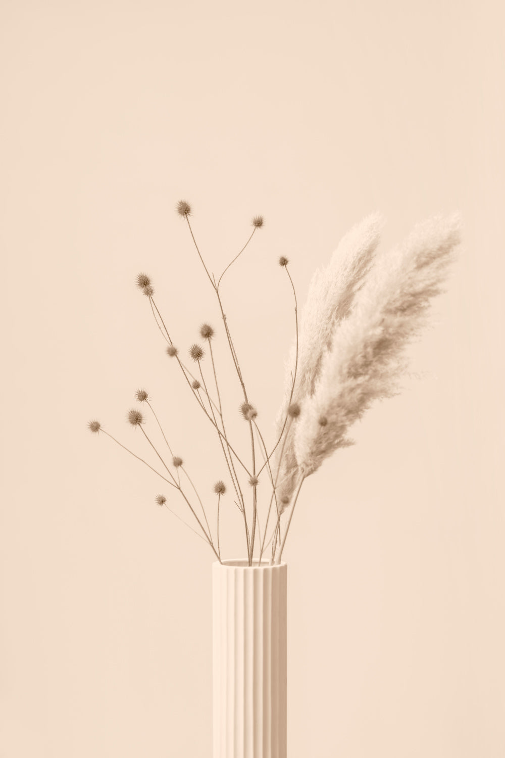 Thistle & Pampas Beige Poster och Canvastavla