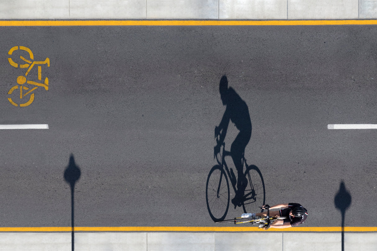 Who's First over the Line Poster och Canvastavla