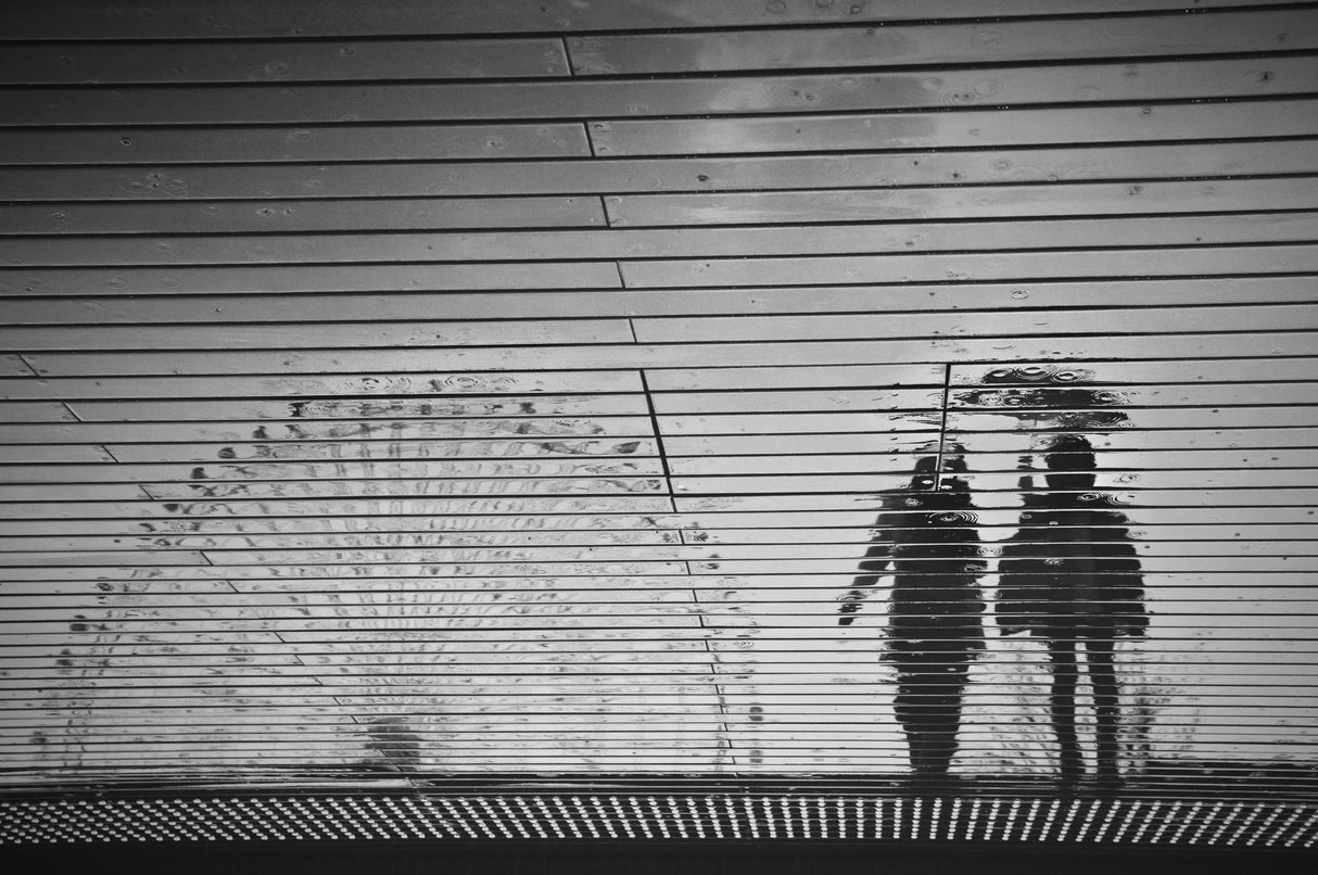 Rainy day silhouette Poster och Canvastavla
