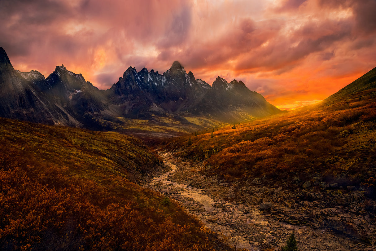 Yukon Sunset Poster och Canvastavla