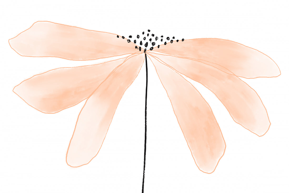 Peach Flower Poster och Canvastavla