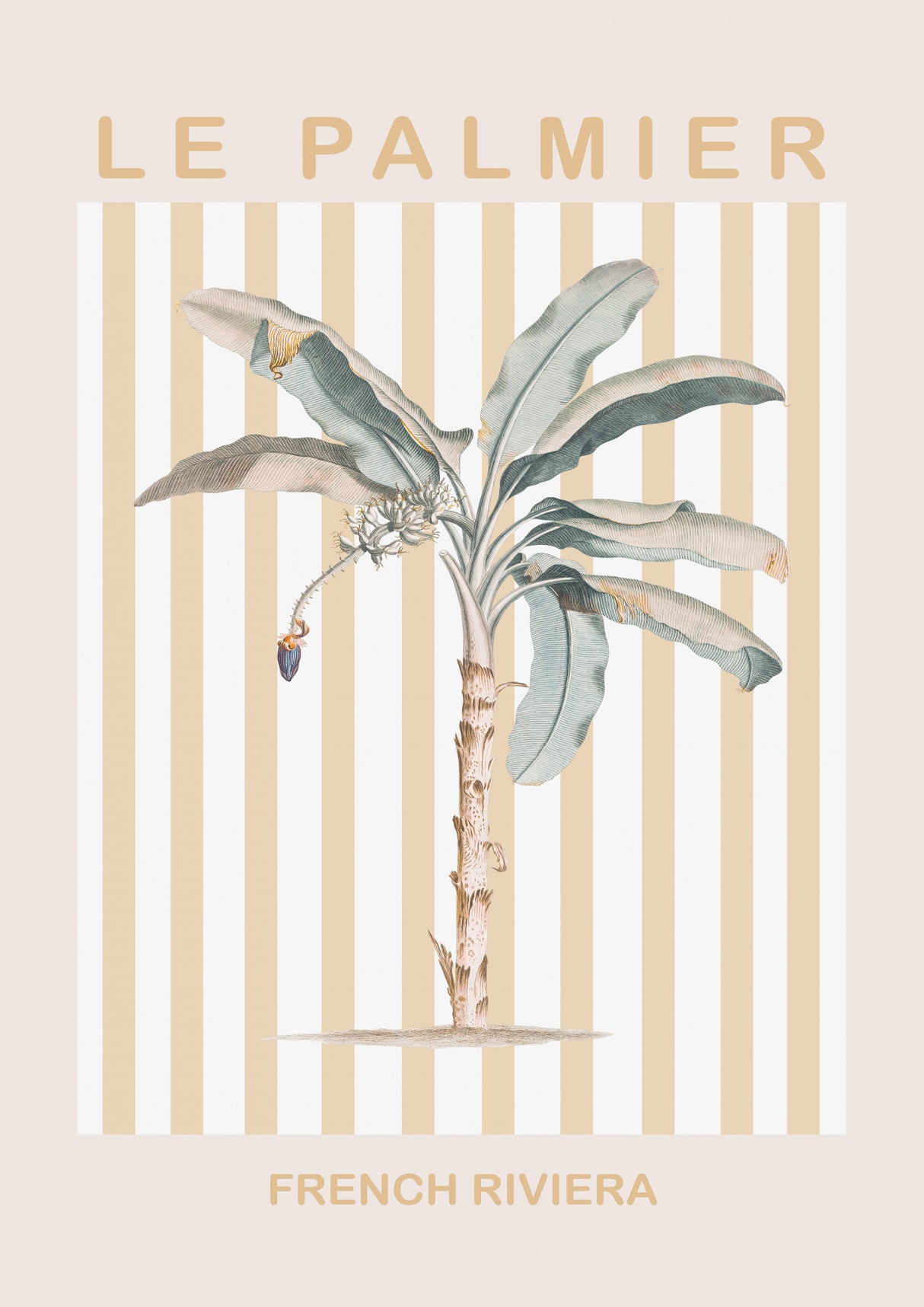 Riviera Plam Tree Poster och Canvastavla