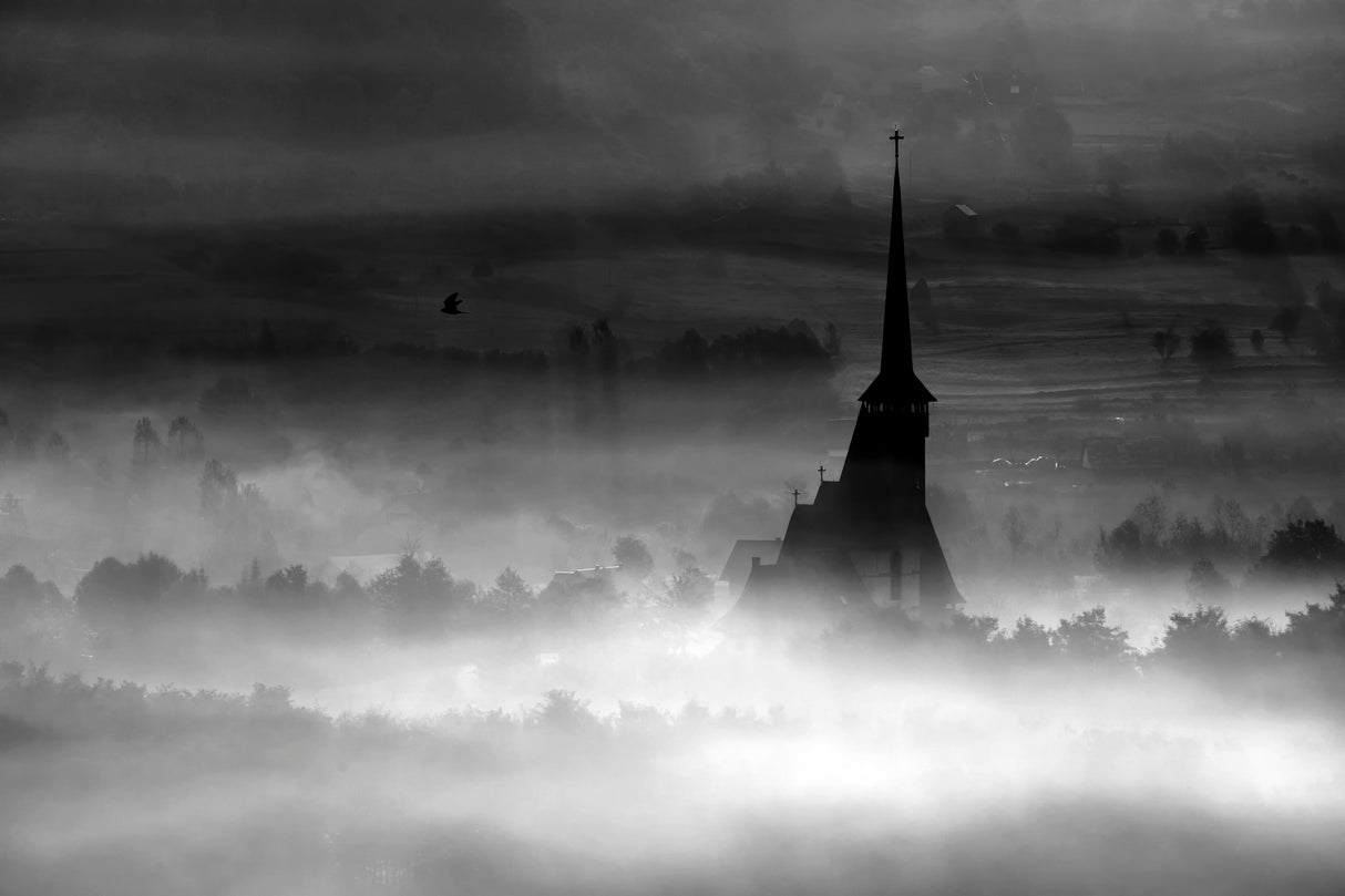 Misty Silhouettes Poster och Canvastavla