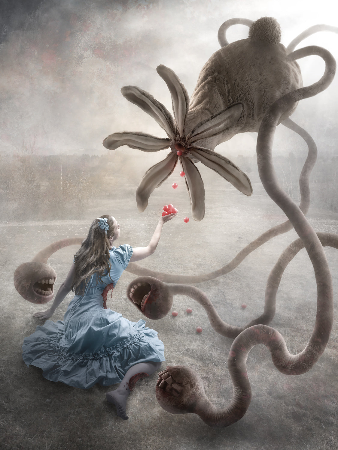 Wonderland? Poster och Canvastavla