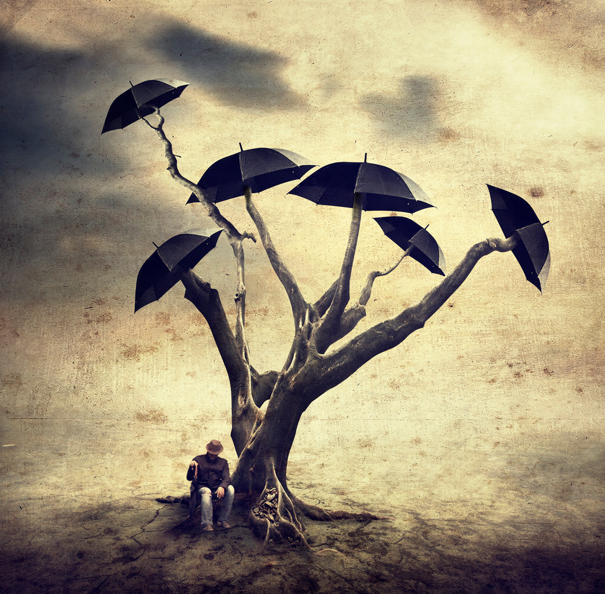 Waiting man and the umbrella tree Poster och Canvastavla