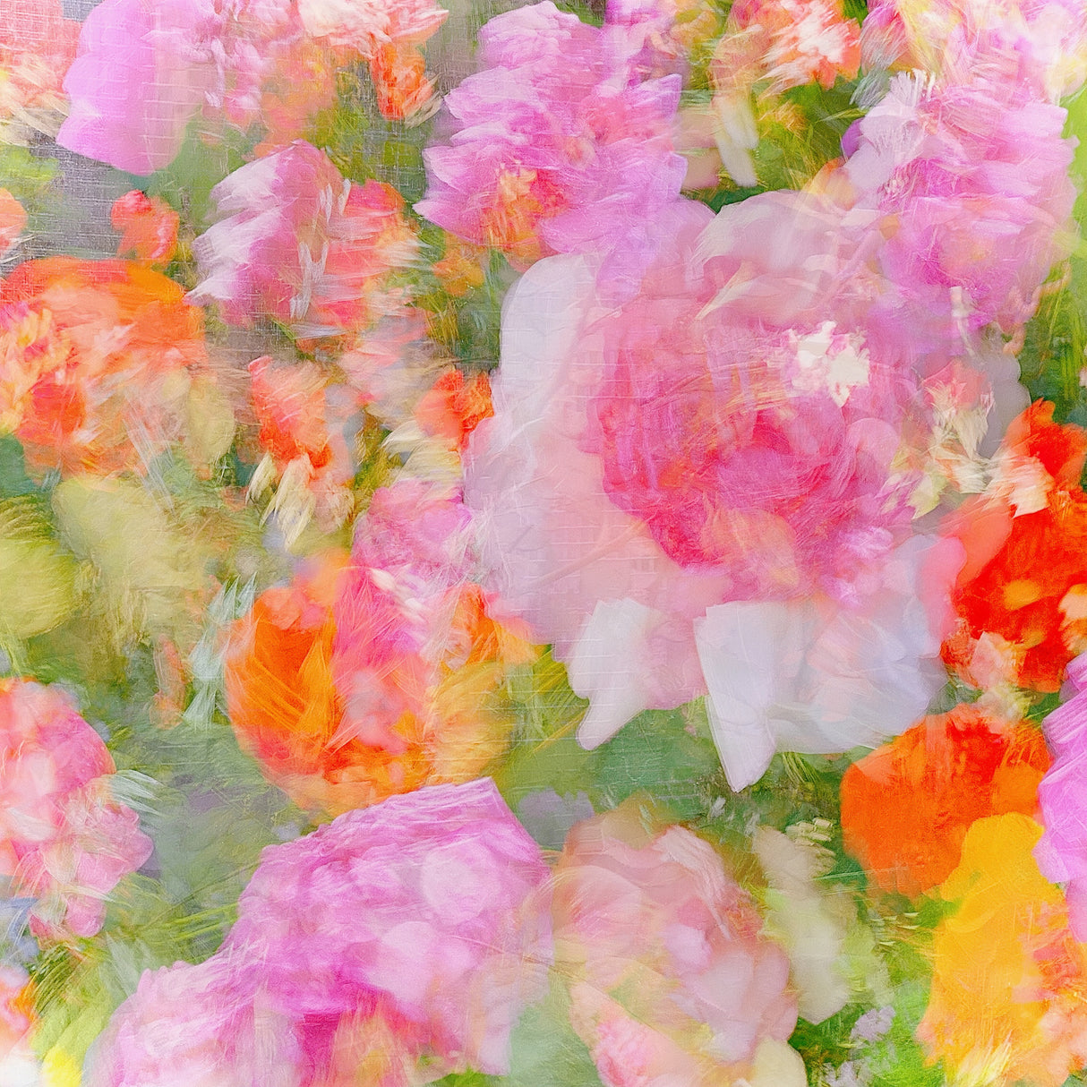 My Rose Garden Impression Poster och Canvastavla