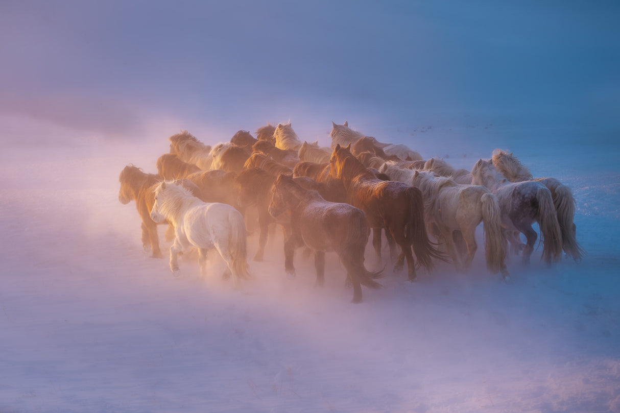 The winter Poster och Canvastavla